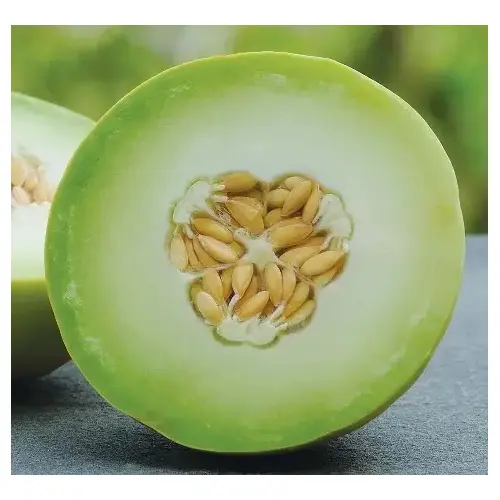 Wild West Seed 13702271 Melon - Honeydew Green Flesh 1-lbs
