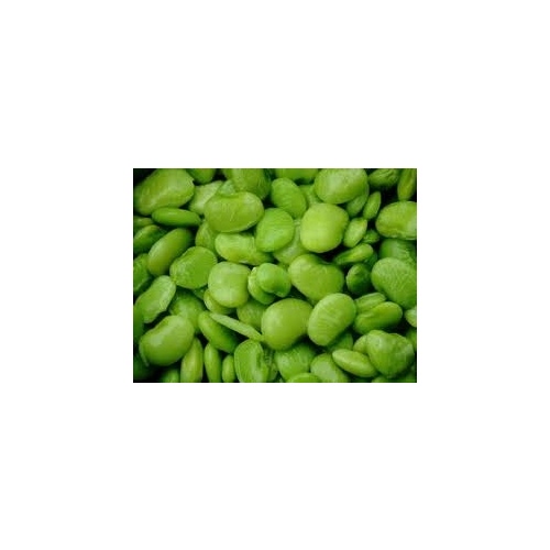 Charter Seed Co 13702244 Beans Lima - Cangreen Early Thorogreen 5-lbs