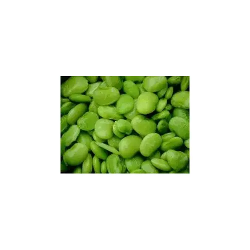 Charter Seed Co 13702244 Beans Lima - Cangreen Early Thorogreen 5-lbs