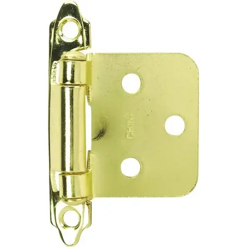 Flush Overlay Cabinet Hinges Polished Brass Pair