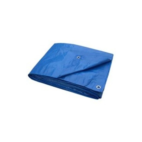 Light Duty Blue Poly Tarp 10' x 12'