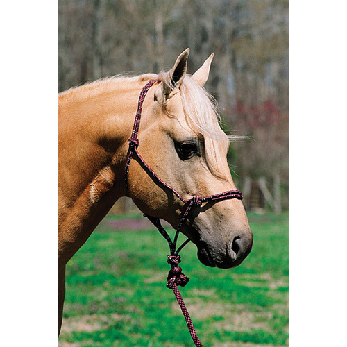 Soft Braided Poly Mountain Rope Average Horse Black/White