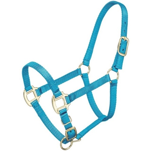 HORSE HALTER NYLON STANDARD ADJUSTABLE COB - TURQUOISE