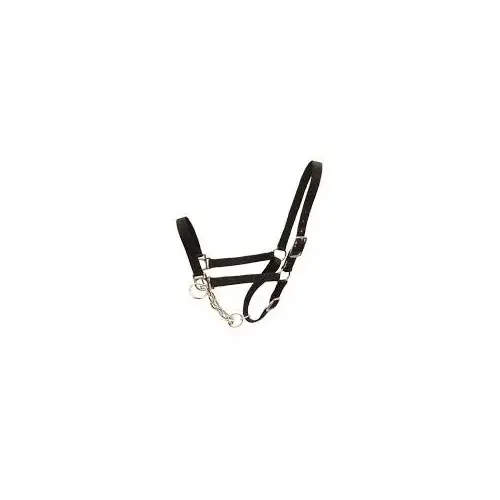 1" Cow Nylon Cow Control Halter with Chain - Black