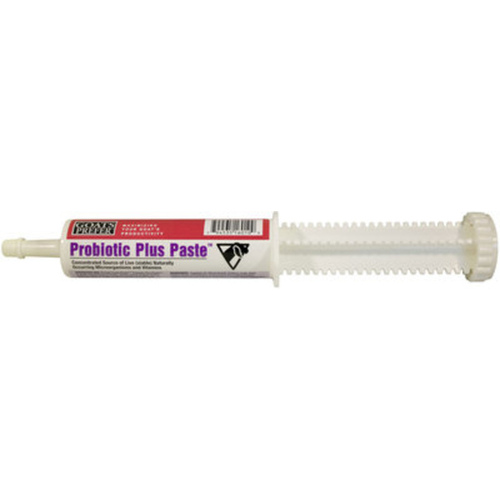 Vets Plus 022-85410 Goats Prefer Probiotic Plus 80-cc Syringe