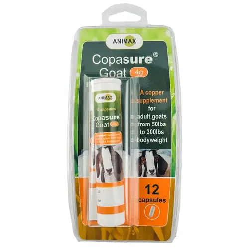 Copasure Capsules 4-Gram 12-Count