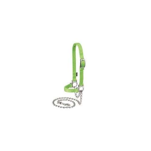 Sheep Halter with Adjustable Lead - Lime Green