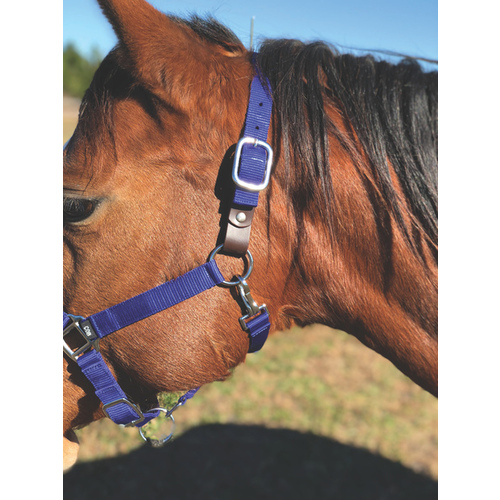 HORSE HALTER NYLON STANDARD ADJUSTABLE - PINK COB