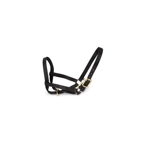 Cattle Halter Nylon Criss Cross Chin Strap Large 1" Black with Nickel-Plated Hardware