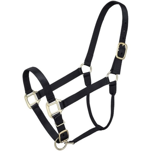 JT International Dist. Inc. 50-920Y-2-0 Horse Halter Basic Nylon Non-Adjustable Chin Small 1" Hunter Green