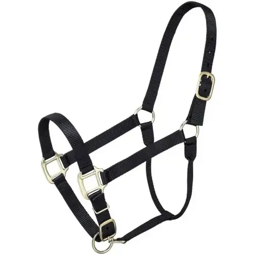 HORSE HALTER NYLON STANDARD ADJUSTABLE COB - NAVY