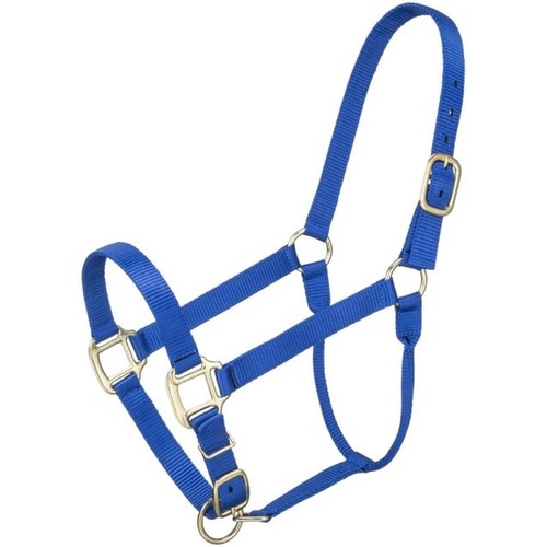 JT International Dist. Inc. 50-920P-4-0 HORSE HALTER NYLON STANDARD ADJUSTABLE COB - BLUE