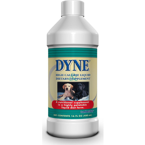 Pet Ag, Inc 20510 Dyne High Calorie Liquid Dietary Supplement for Animals 16-oz