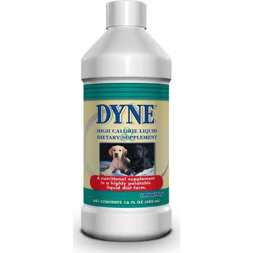 Dyne High Calorie Liquid Dietary Supplement for Animals 16-oz