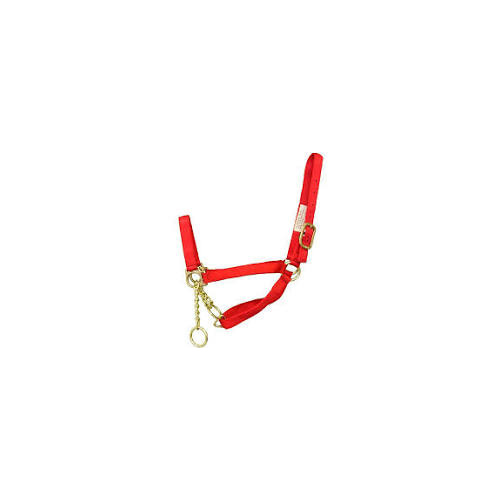 Valhoma Corporation 22812440 Cattle Restraint Halter Nylon with Chain Chin Strap Small - Red