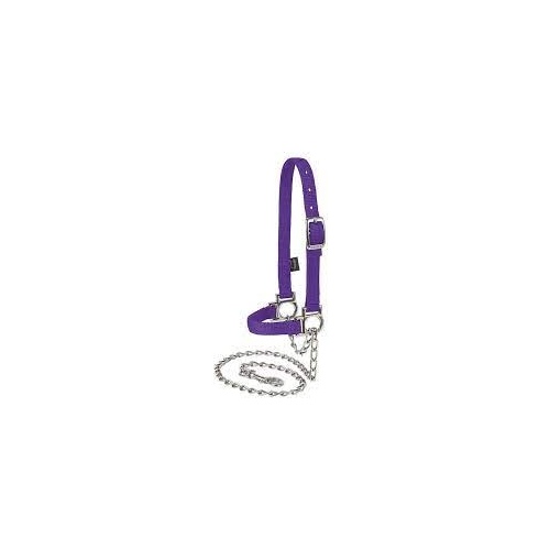 Valhoma Corporation 121-SAC-X-PR Sheep Halter Parachute Poly Rope 3/8" x 52" Purple/Lime/Blue with Bolt Snap