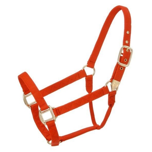 JT International Dist. Inc. 50-920H-5-0 HORSE HALTER NYLON STANDARD ADJUSTABLE FULL - RED