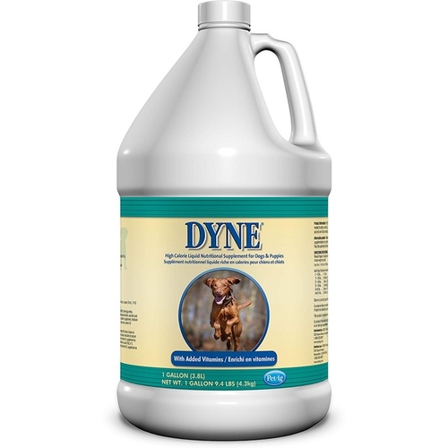 Pet Ag, Inc 20526 Dyne High Calorie Liquid Dietary Supplement for Animals 1-Gallon