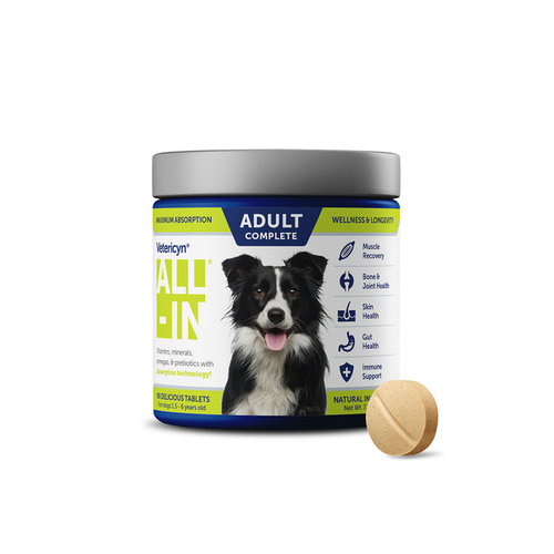 Innovacyn 085-1720 All-In Life Stage Supplement for Adult Dogs