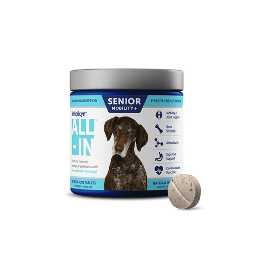 Innovacyn 085-1730 All-In Life Stage Supplement for Senior Dogs