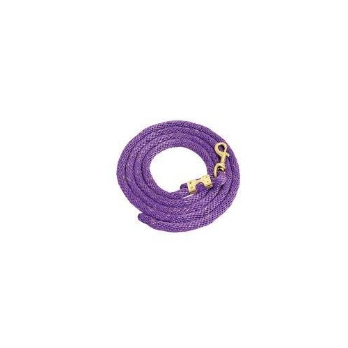 PARATRADE POLY LEAD ROPE BRASS SNAP - PURPLE