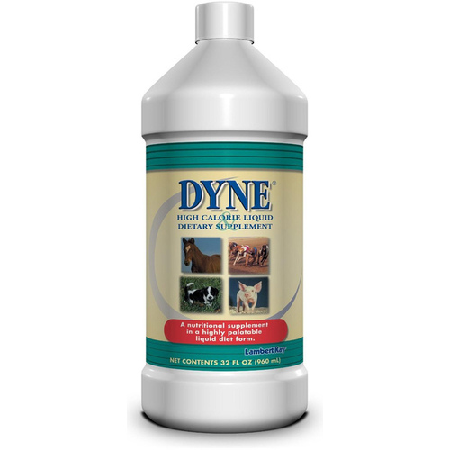 Dyne High Calorie Liquid Dietary Supplement for Animals 32-oz