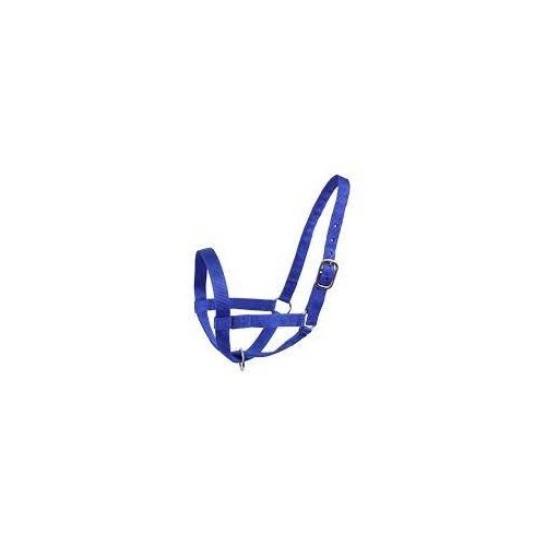 Valhoma Corporation 20-P-BL Cattle Halter Nylon Criss Cross Chin Strap Small 1" Blue with Nickel-Plated Hardware