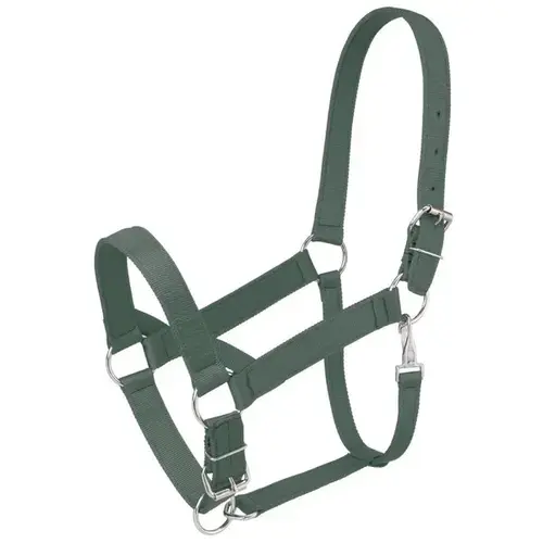 TOUGH-1 DRAFT NYLON HORSE HALTER - HUNTER GREEN