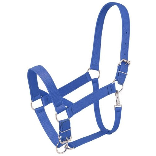 JT International Dist. Inc. 50-9550-4-0 TOUGH-1 DRAFT NYLON HORSE HALTER - BLUE