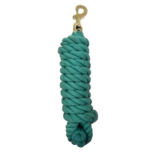 Partrade Trading Corp 248251 PARATRADE POLY LEAD ROPE BRASS SNAP - HUNTER GREEN