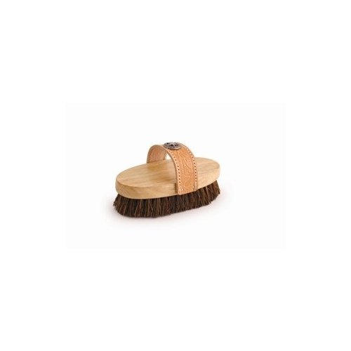 Legends Palmyra Fiber Small Western-Style Oval Mud Brush