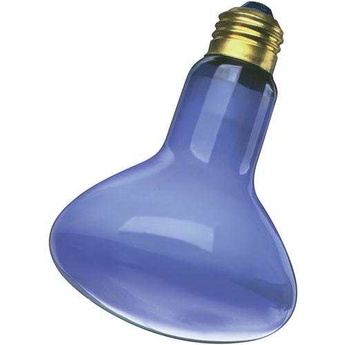 Incandescent Reflector Light Bulb 50-Watt R20 E26 Blue (Plant)