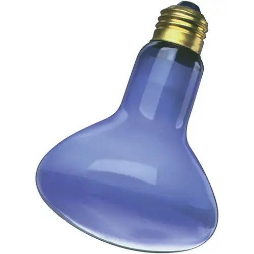 Incandescent Reflector Light Bulb 75-Watt R25 E26 Blue (Plant)