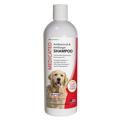 Antibacterial & Antifungal Shampoo - 16oz. Bottle