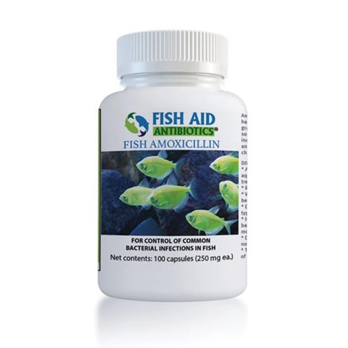Fish Antibiotics 08644347 Fish Mox 250mg 100-Capsules