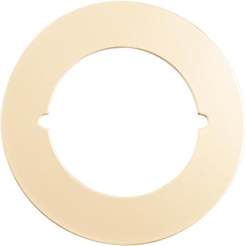 3-1/2" Scar Plate - Polished Brass