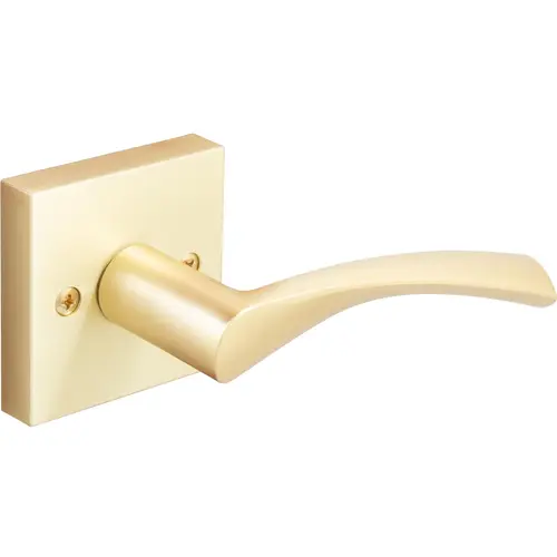 Turin Dummy - Satin Brass