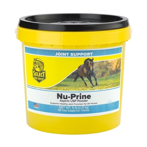 Richdel, Inc 011-860506 Nu-Prine Powder - 5 lbs.