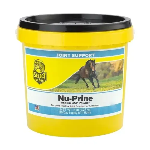 Richdel, Inc 011-860506 Nu-Prine Powder - 5 lbs.