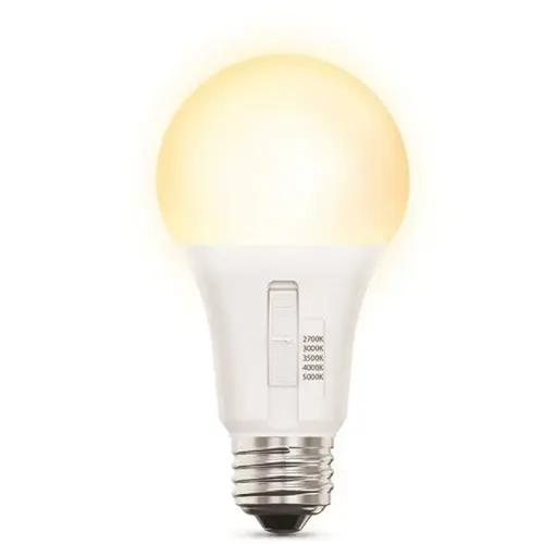 Electric A21 17.5w Color Select E26 Base Wht Frost Gp LED Bulb