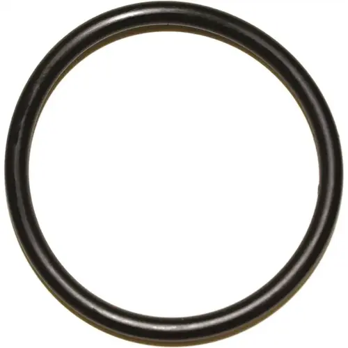 No 25 O-Ring