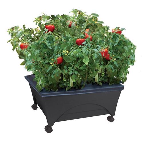 City Picker 2340DW Garden Bed 11" H X 24" W X 20" D Resin Charcoal Charcoal