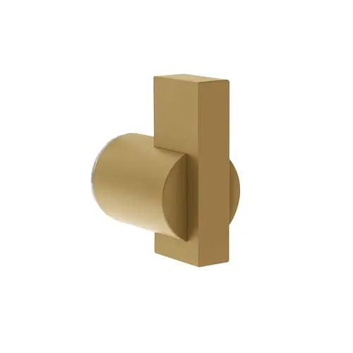 Single Shower Door Knob Brushed Brass