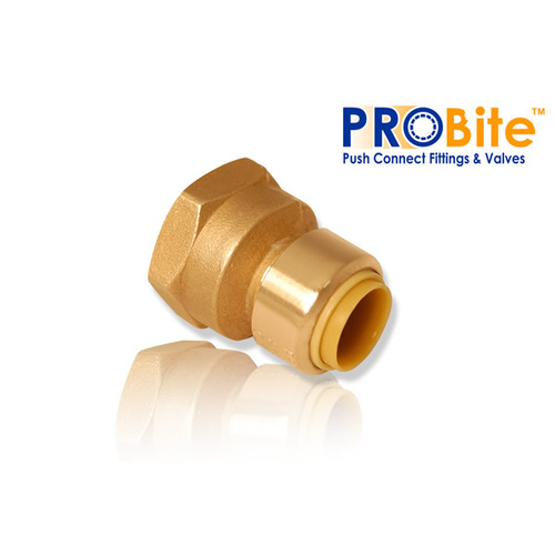 1/2" x 1/2" FNPT Probite Female Adapter