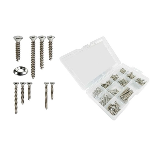 T-H Marine Supplies LLC BE-HA-54452-DP Stainless Steel Oval Head Phillips Head Tapping Screws Kit - 170 pcs