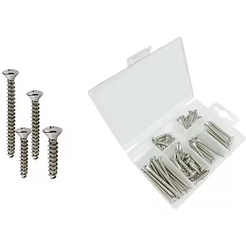 T-H Marine Supplies LLC BE-HA-54448-DP Stainless Steel Oval Head Tapping Screw Kit - 48 pcs