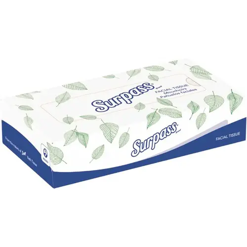 Surpass 21390 White Unscented 2-Ply Facial Tissue Flat Box (125 Tissues/Box, /Big Case) - pack of 60
