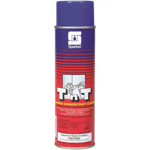 TnT 634300 18oz. Aerosol Can Mint Scent Disinfectant Cleaner