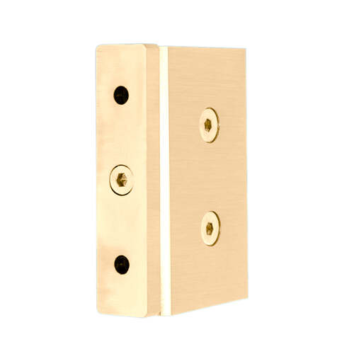 Cardiff Top and Bottom Pivot hinges Brass