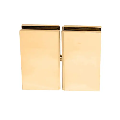 Cardiff Glass to Glass pivot Hinge Brass